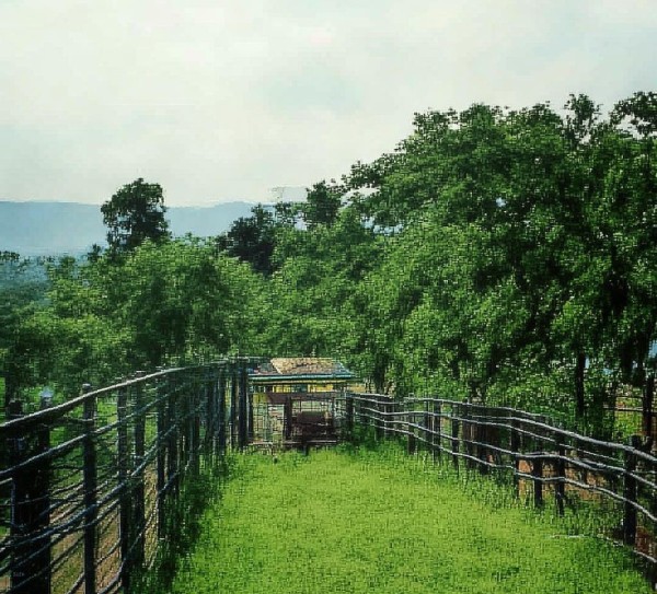 巩义田园画卷，乡愁里的水墨乡村,巩义田园画卷，乡愁里的水墨乡村,画卷,乡村,田园,第1张