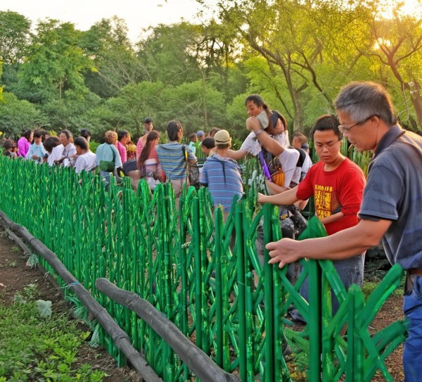 筑牢生命防线，共建和谐家园,筑牢生命防线，共建和谐家园,未来,和谐,生命,第1张